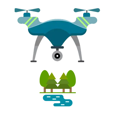 Forestry