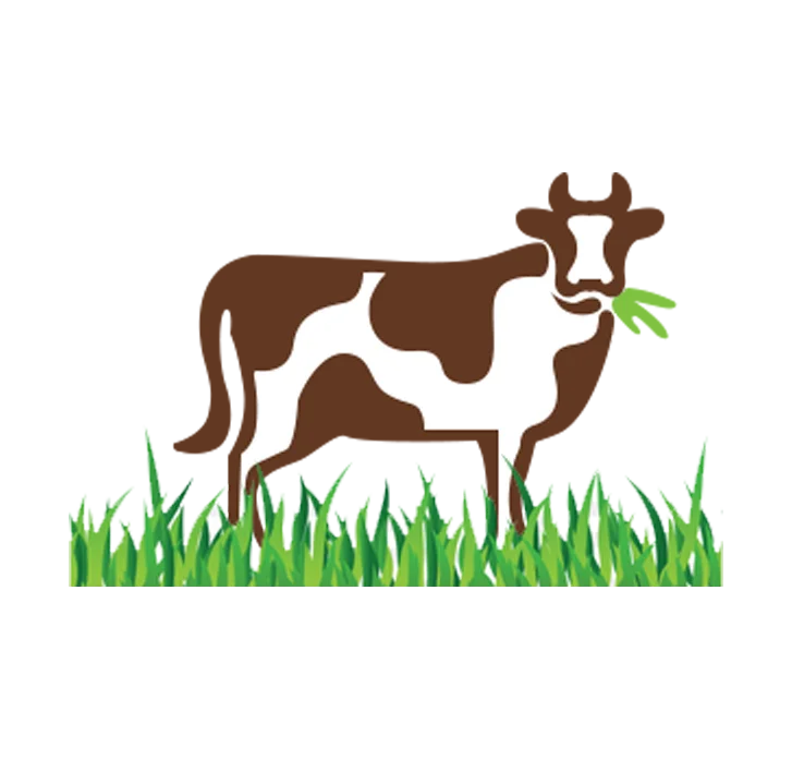dairy management